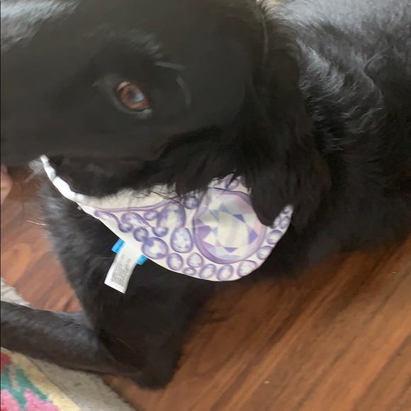 Bark box wearable squeaky dog toy award show M/F M - Picture 6 of 7